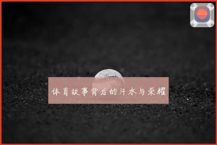 体育故事背后的汗水与荣耀