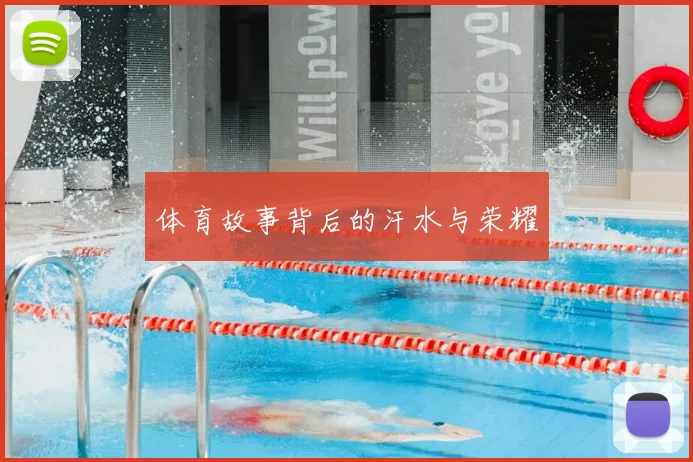 体育故事背后的汗水与荣耀