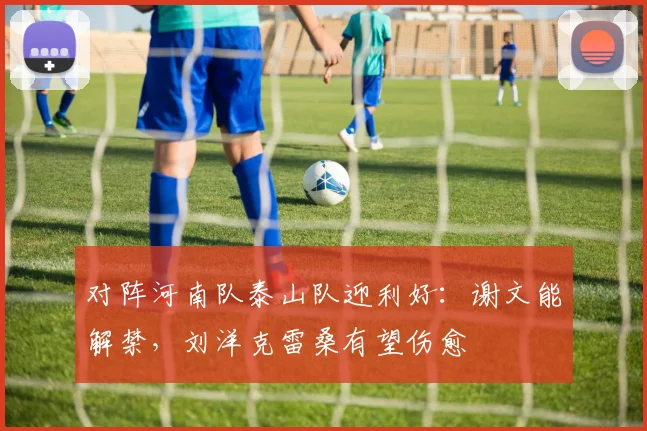 对阵河南队泰山队迎利好：谢文能解禁，刘洋克雷桑有望伤愈